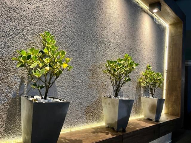 דירות גוארויה Marmeu Tropical מראה חיצוני תמונה